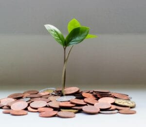 A new seedling sprouting from a stack of coins